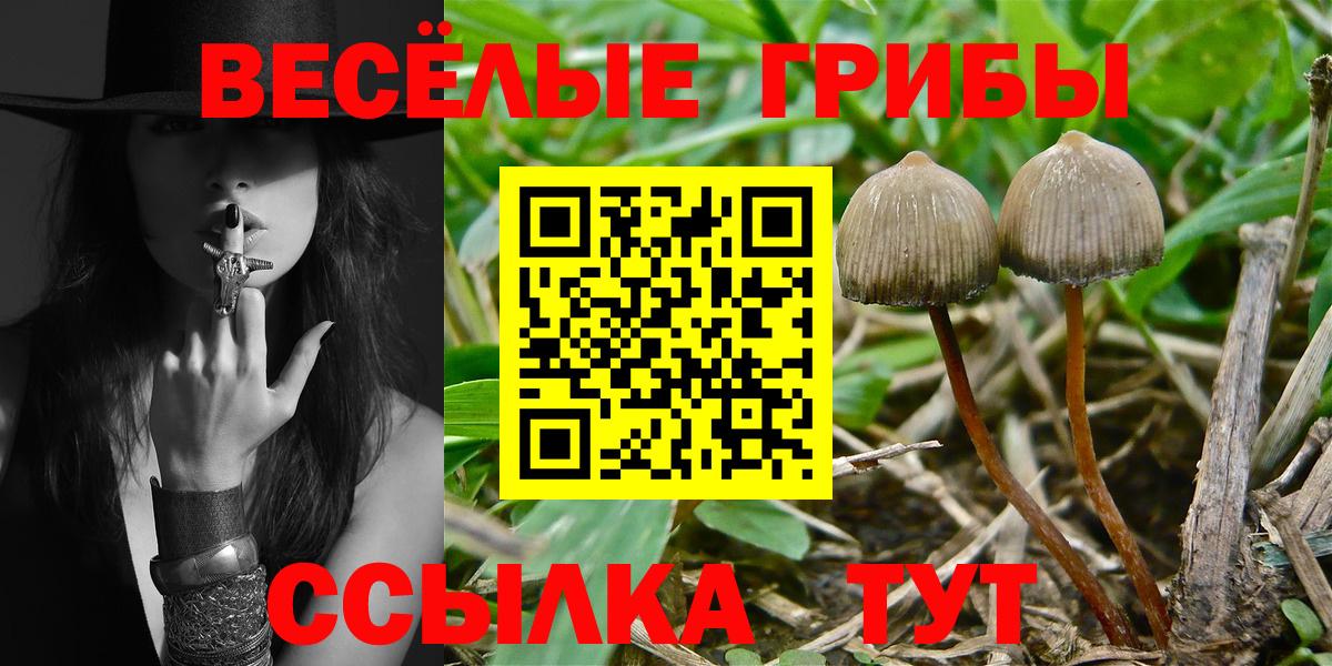 Богородск  Псилоцибиновые грибы прущие грибы  купить   Вход с VPN 