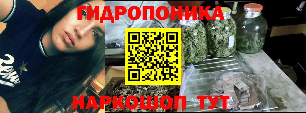 Шишки марихуана LSD WEED  Бошки Шишки SATIVA & INDICA  Богородск  Вход с VPN  Марихуана ГИДРОПОН 